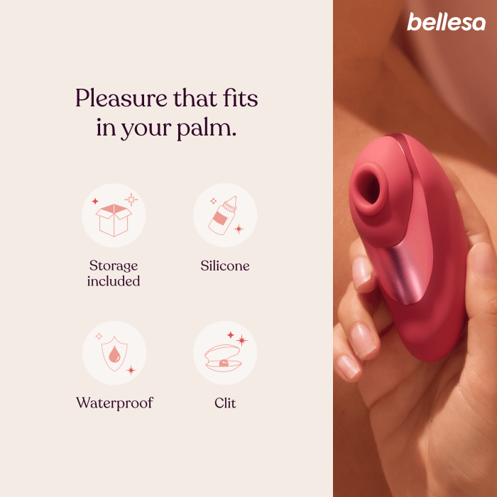 Pebble Pro - Image 2